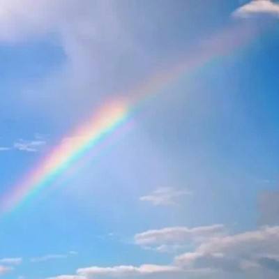 丰禾棋牌手机app下载